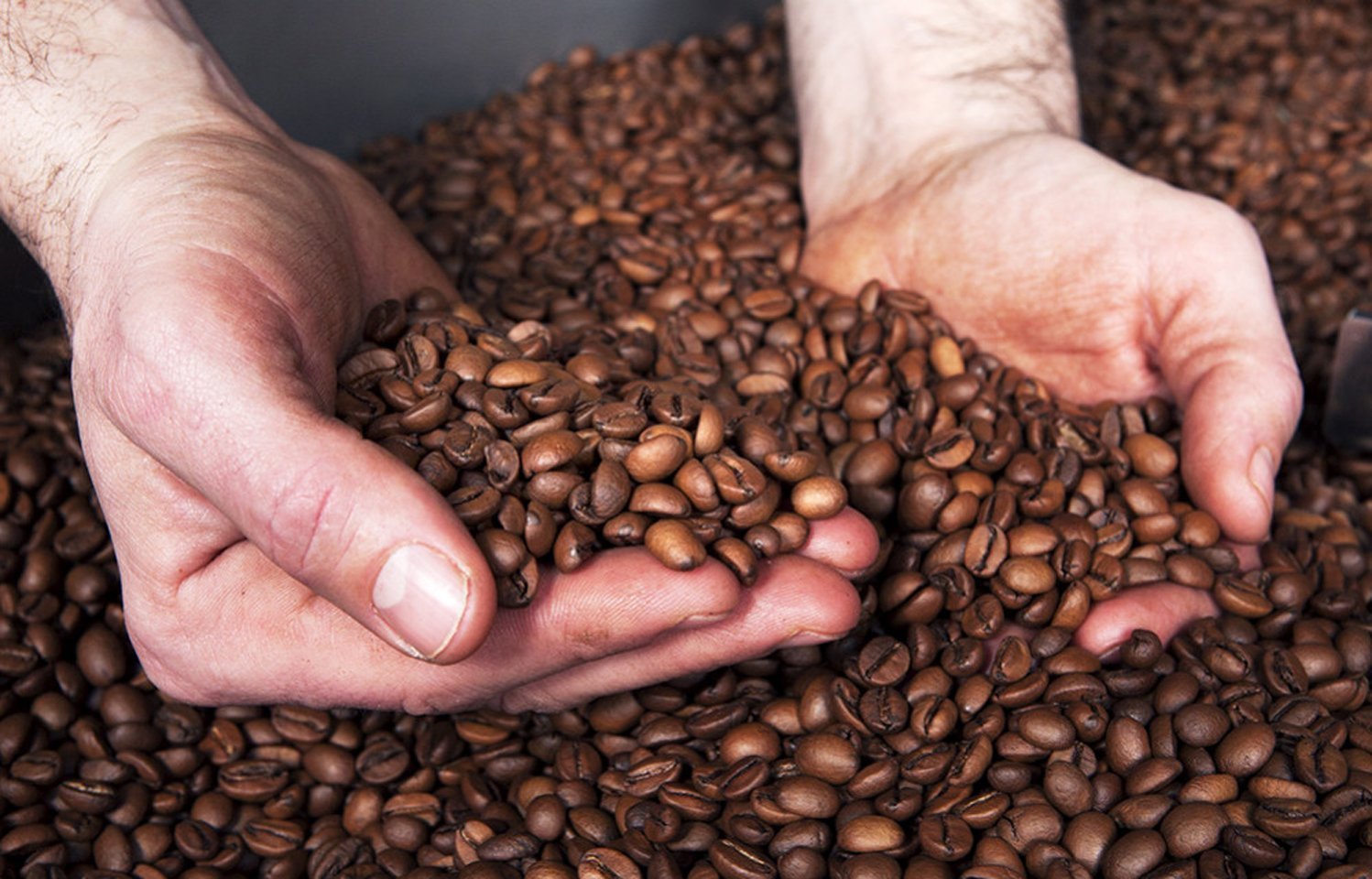 Choisir son café : le café peu amer - L'Arbre à Café