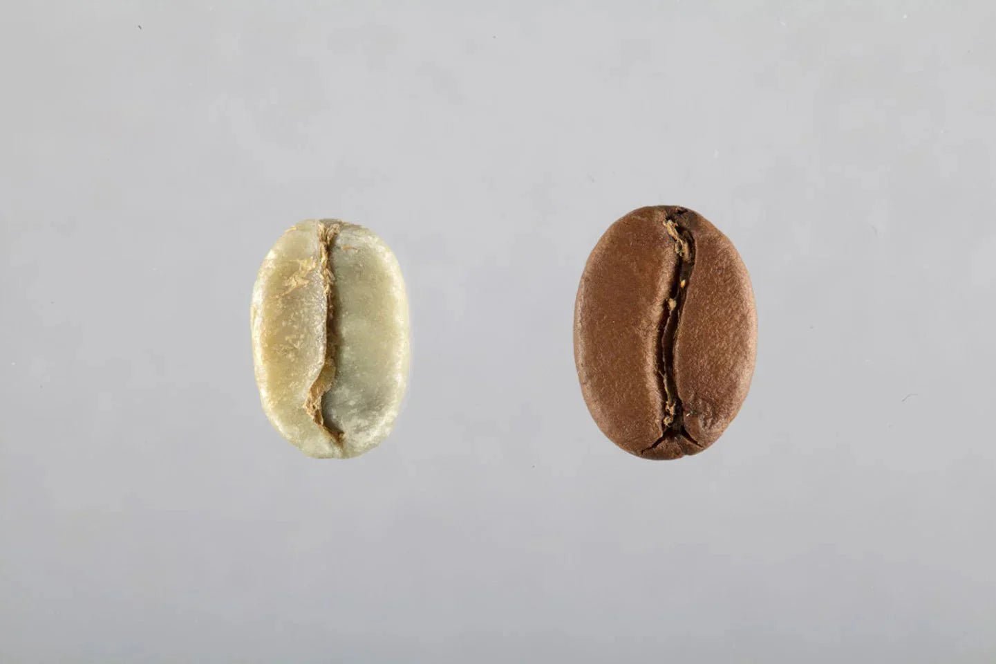 Combien y a-t-il de caféine dans un café ? - L'Arbre à Café