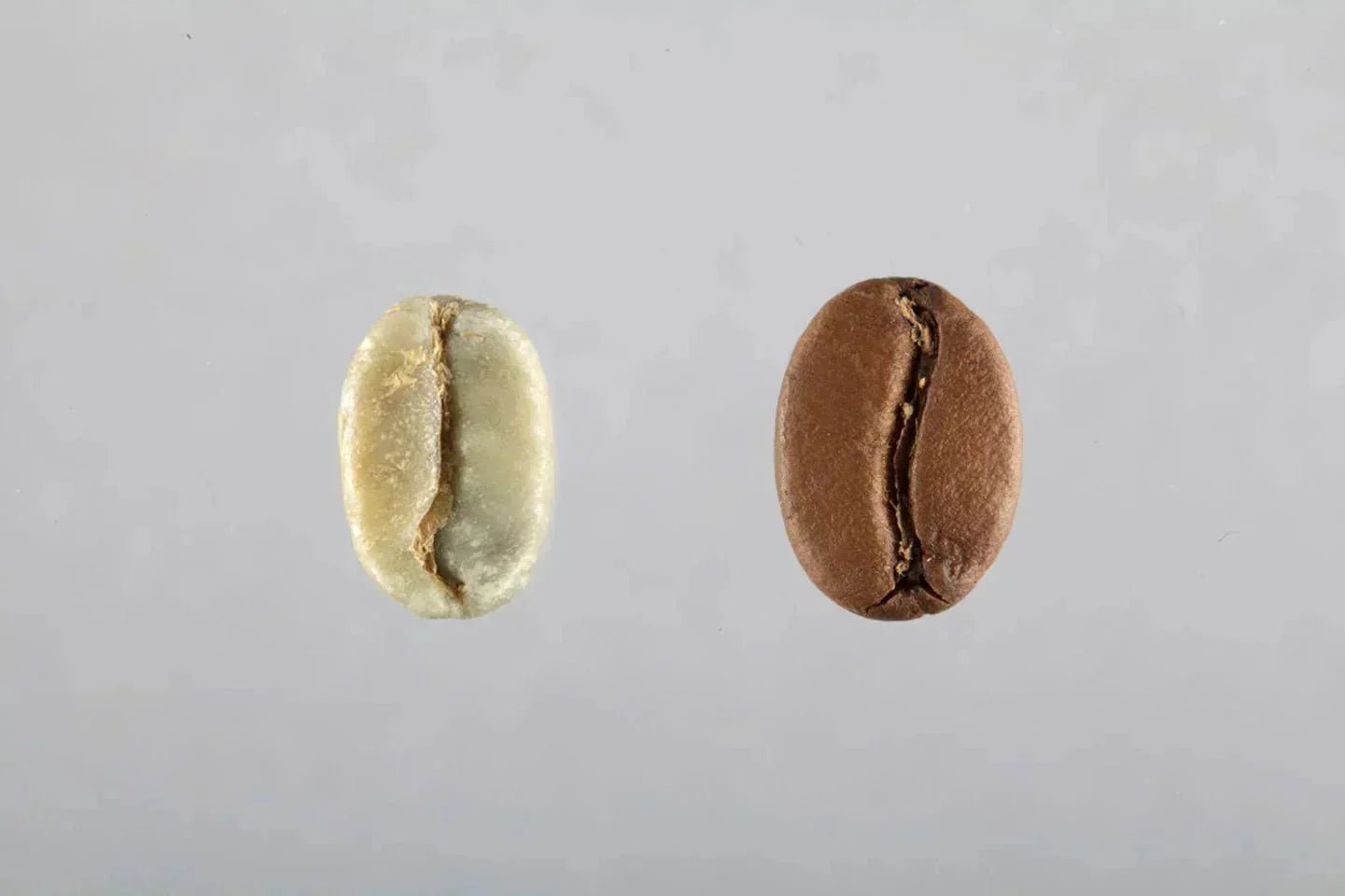 Combien y a-t-il de caféine dans un café ? - L'Arbre à Café