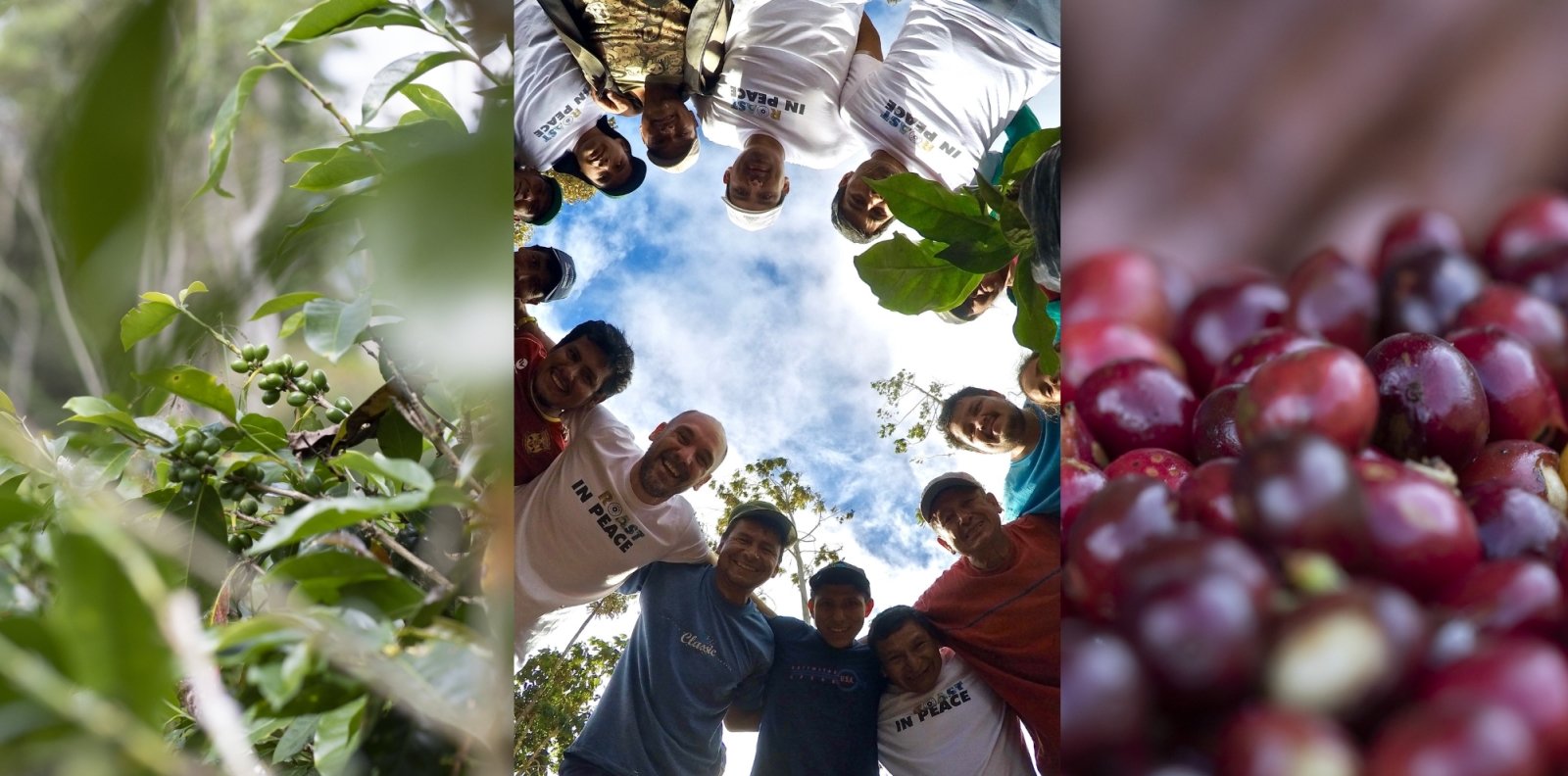 Finca Mariposa, la ferme agroécologique de L'Arbre à Café, producteur - L'Arbre à Café