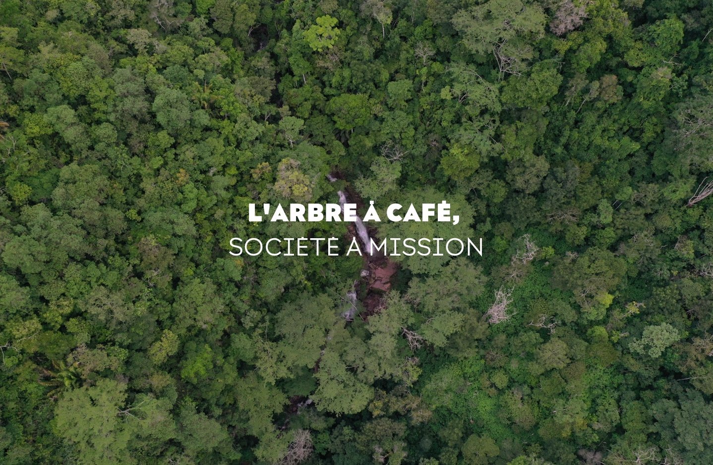 L'Arbre à Café, Entreprise à mission en plus d'être B Corp - L'Arbre à Café