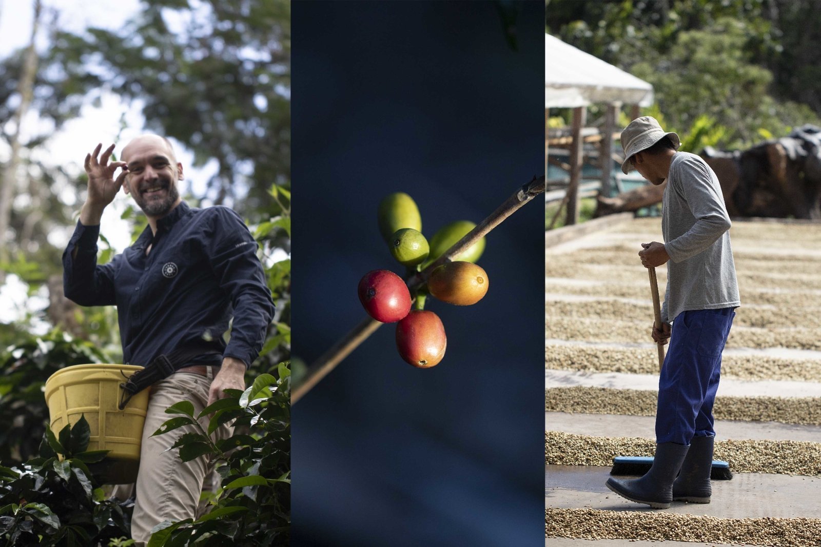 L'Arbre à Café rejoint le mouvement B-Corp - L'Arbre à Café