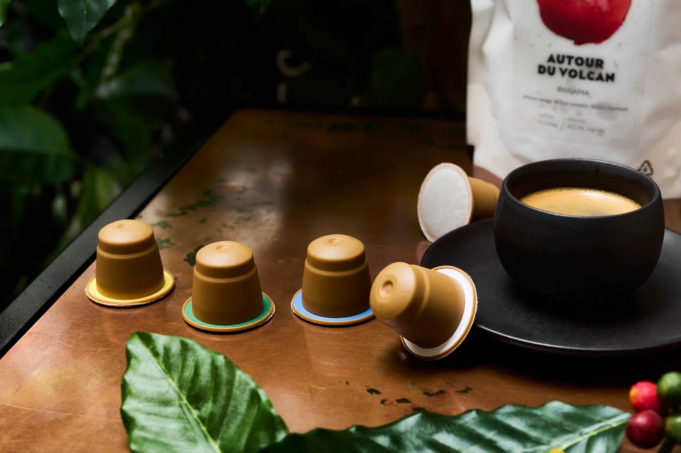 Nos capsules de café biodégradables et compostables - L'Arbre à Café