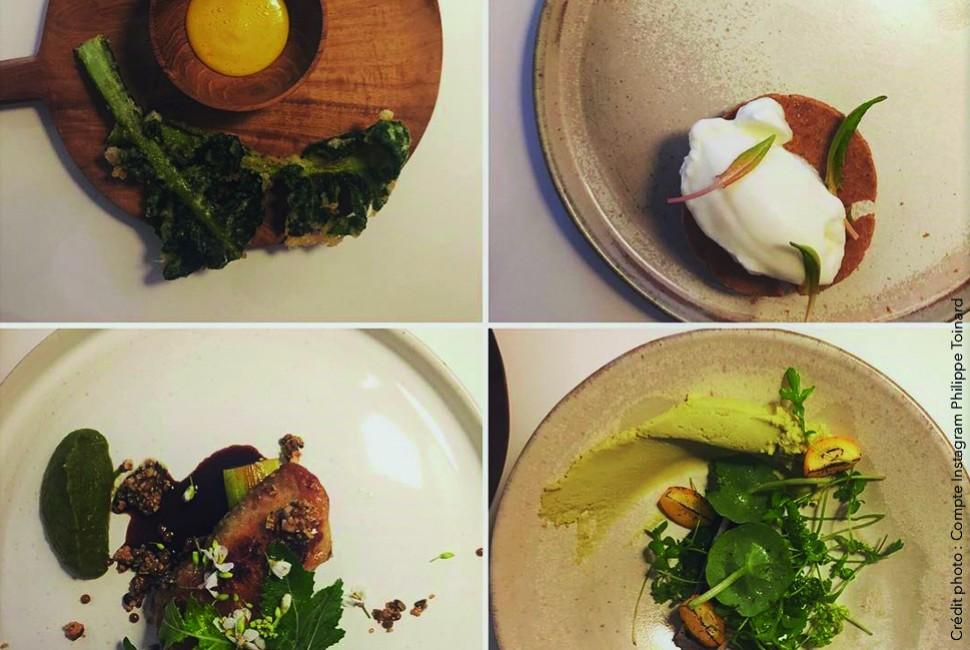 Orties, quand le végétal s’attable - L'Arbre à Café