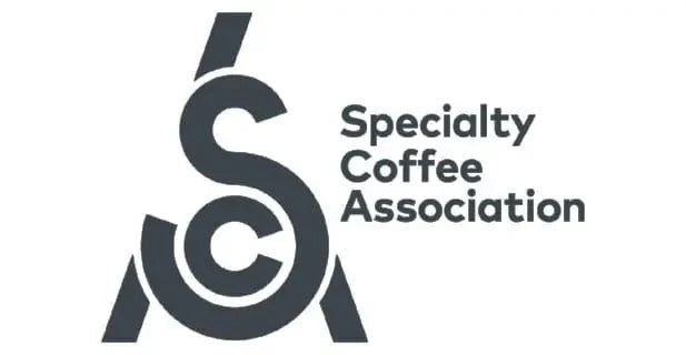 Pourquoi choisir un café de spécialité ? - L'Arbre à Café