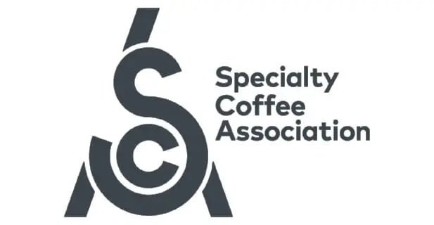 Pourquoi choisir un café de spécialité ? - L'Arbre à Café