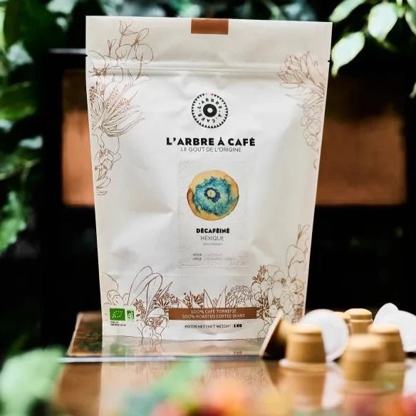 Filtres à Café Décaféiné Rombouts - Lot De 2 Paquets De 10 Filtres - Pour Machine à Café Une Tasse