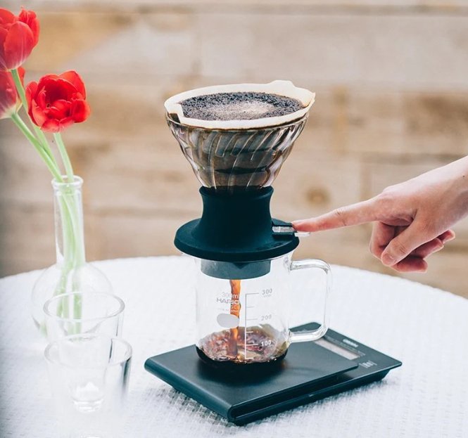 Drippers and their filters - L'Arbre à Café