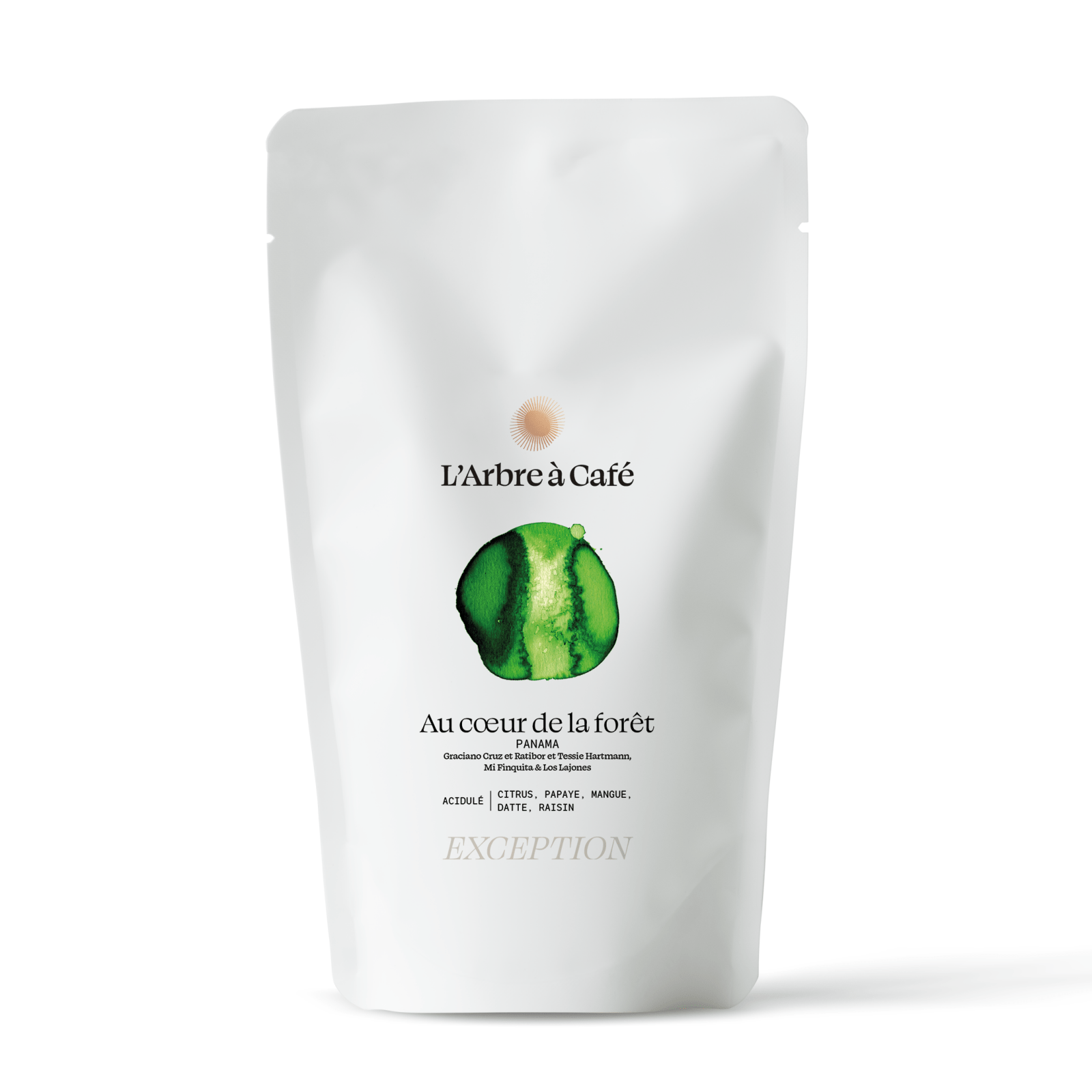 In the heart of the forest - Coffee - L'Arbre à Café