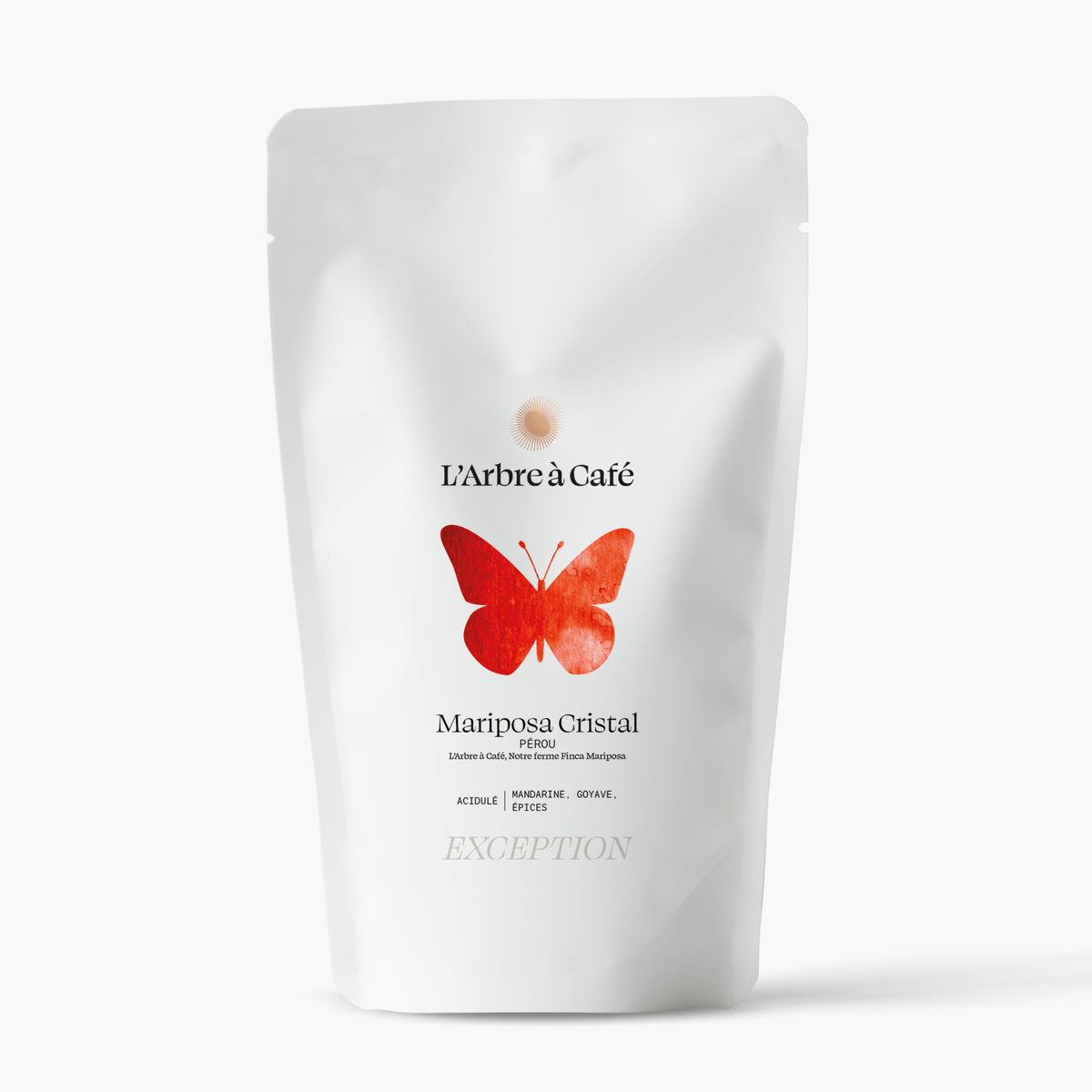 Coffret Illumination - Café - L'Arbre à Café