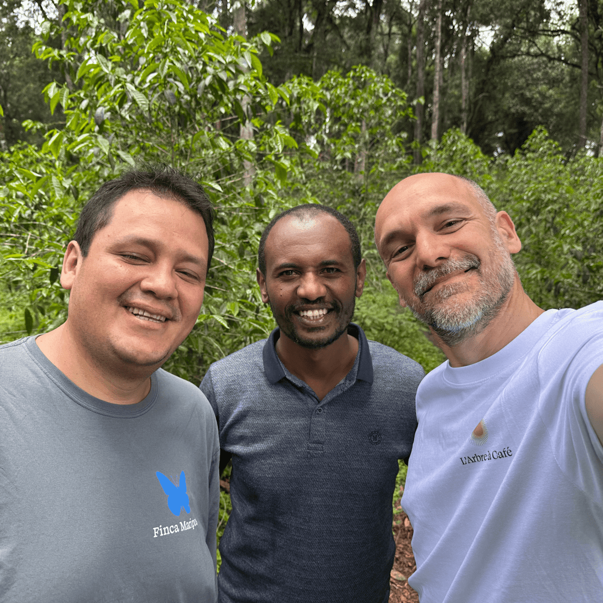 Soko - Coffee - L'Arbre à Café