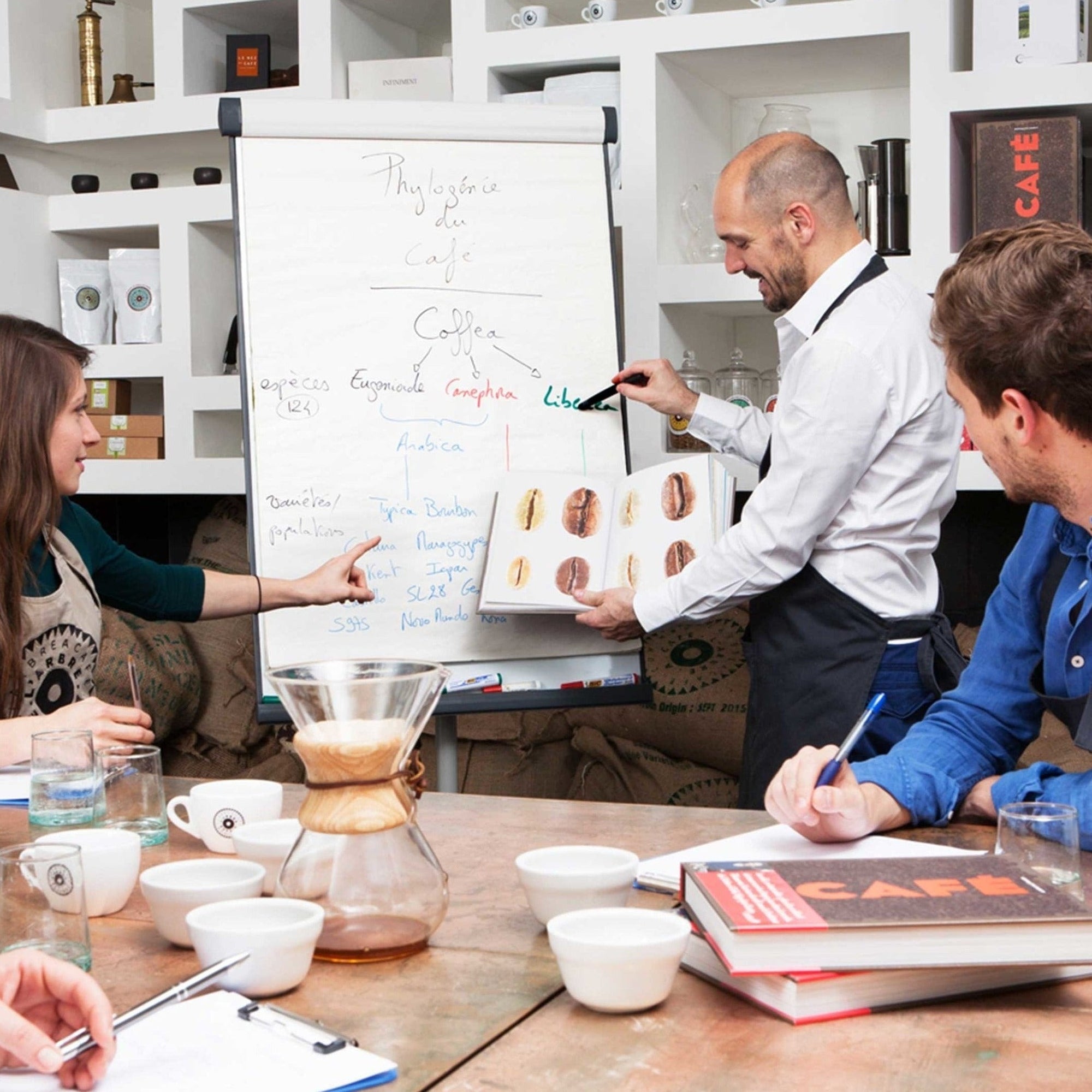 Explore the world of coffee - Training - L'Arbre à Café