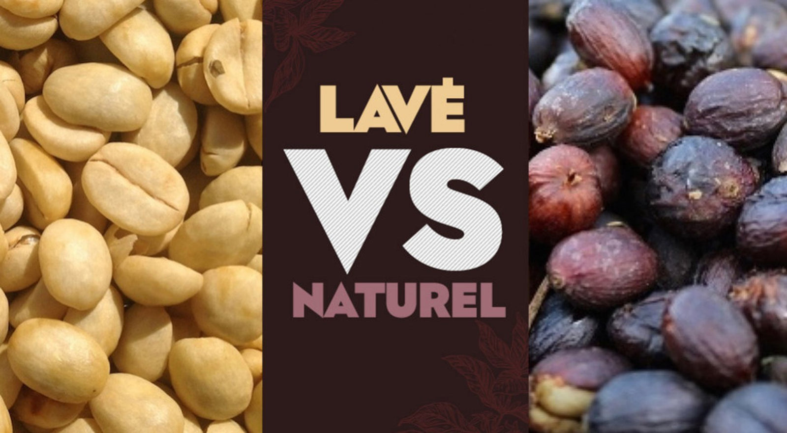 Café lavé VS Café Naturel - L'Arbre à Café