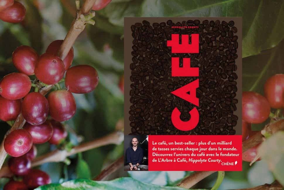 Café - Le livre par Hippolyte Courty - L'Arbre à Café