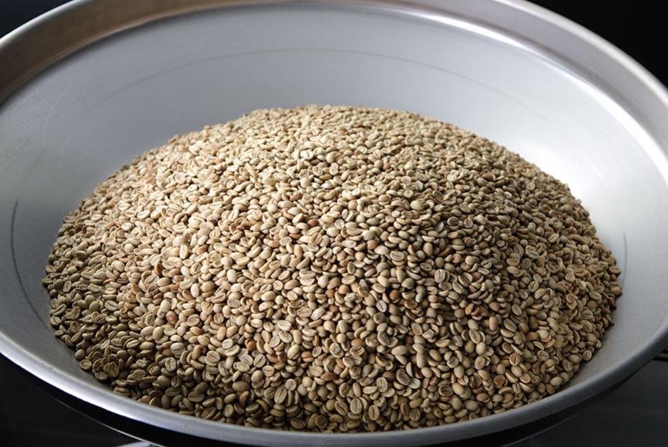 Comment bien choisir son café ? - L'Arbre à Café