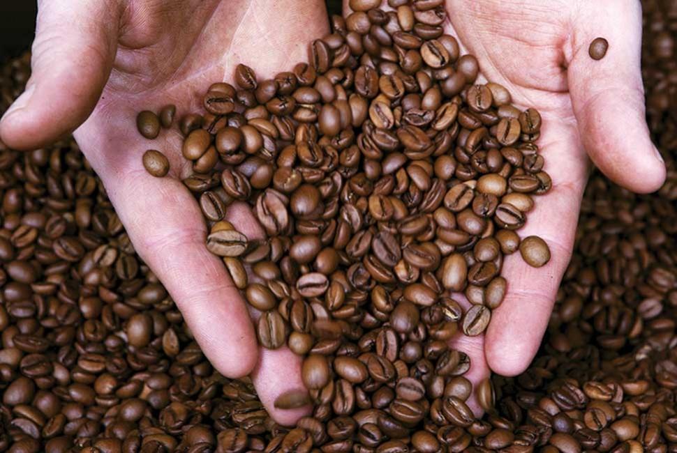 Comment conserver le café et quand est son optimal gustatif ? - L'Arbre à Café