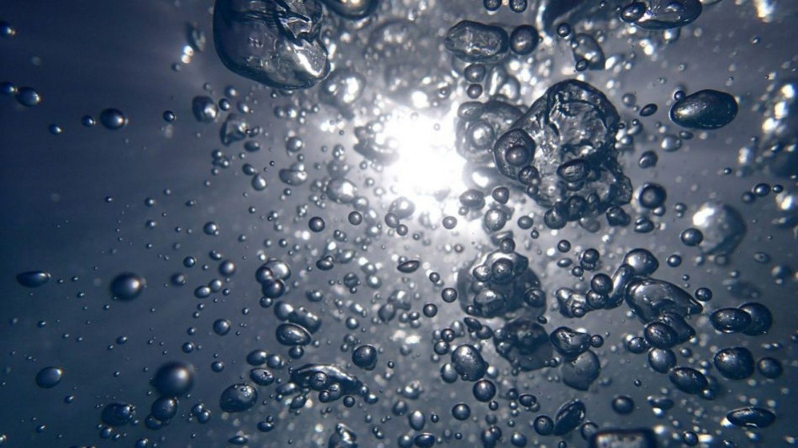En quoi l'eau dynamisée va-t-elle changer votre façon de déguster le café ? - L'Arbre à Café