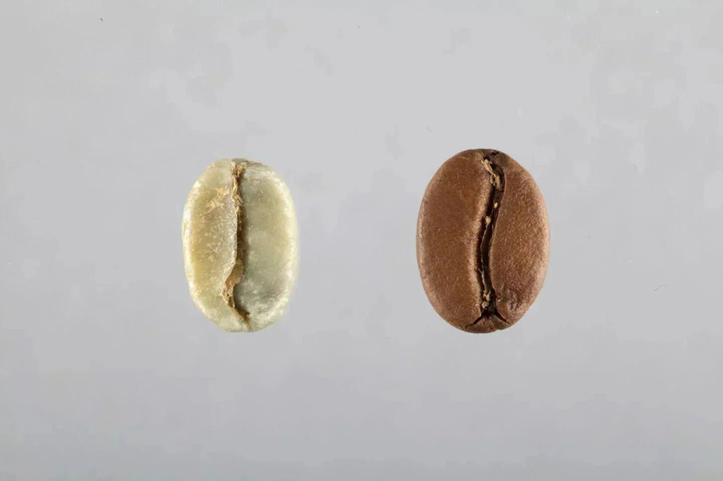 [Guide Pratique] - Tout savoir sur la torréfaction du café - L'Arbre à Café