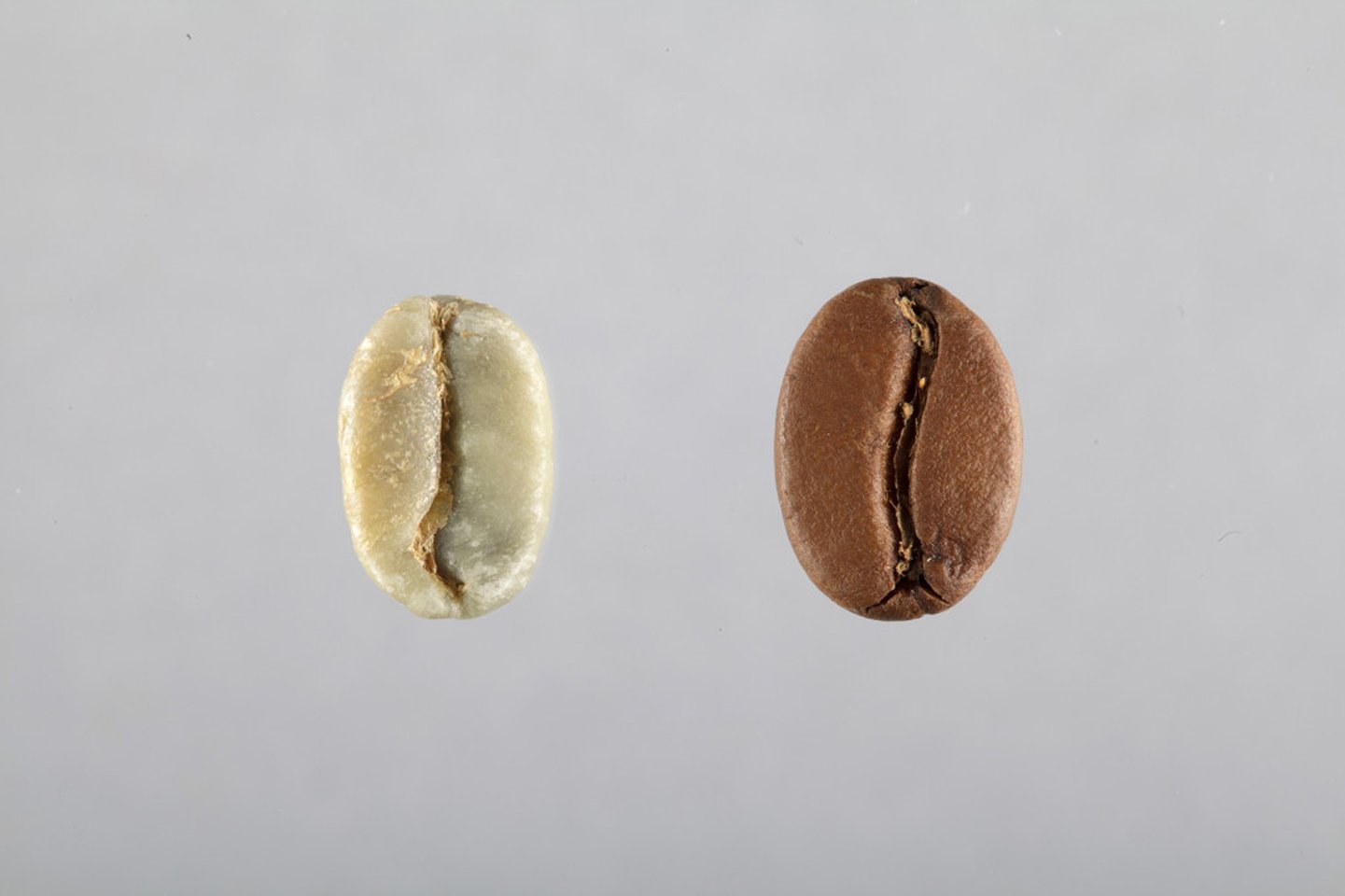 Grain de café, comment l'extraire ? - Syndicat Français du Café