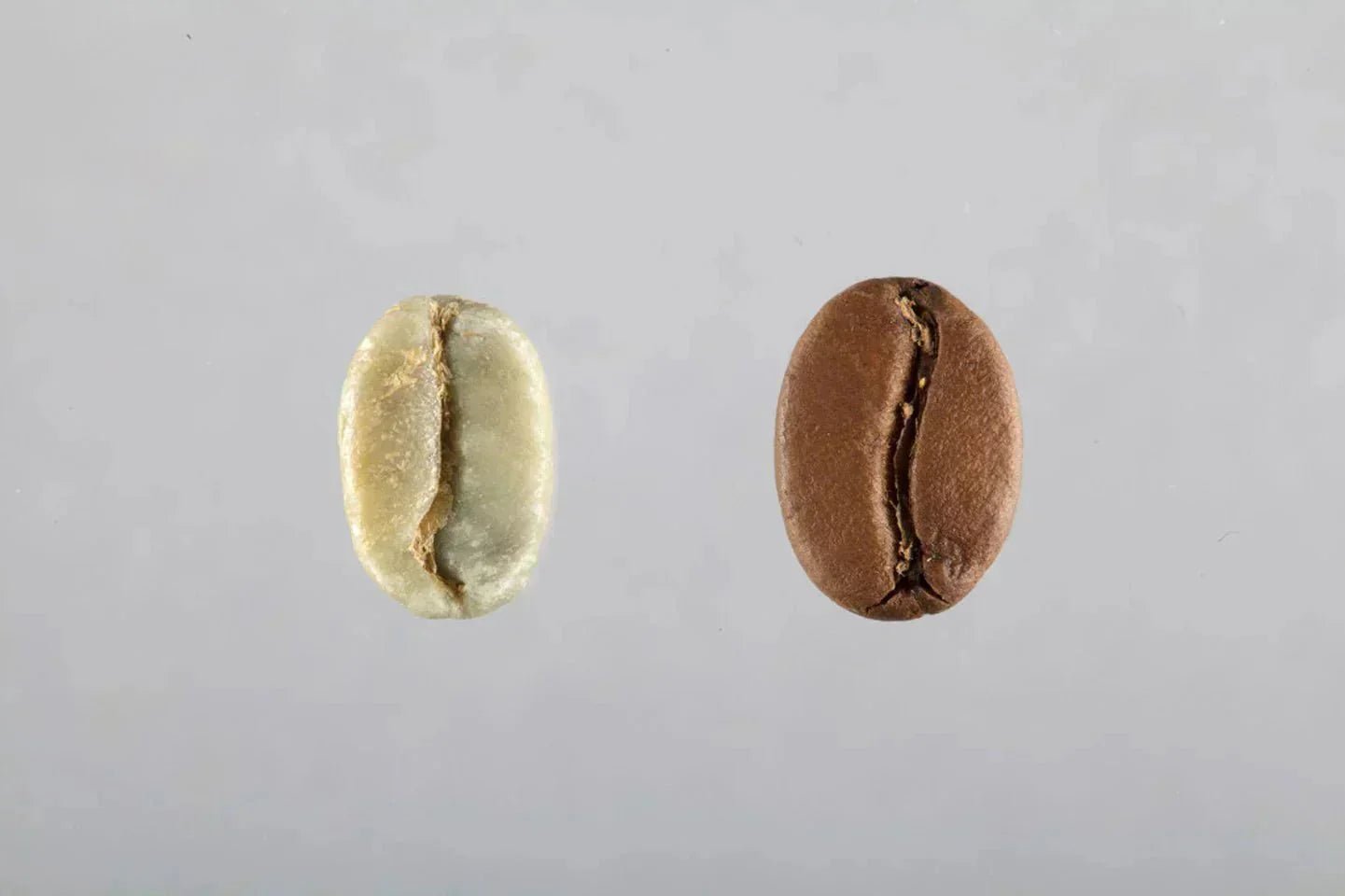 [Guide Pratique] - Tout savoir sur la torréfaction du café - L'Arbre à Café