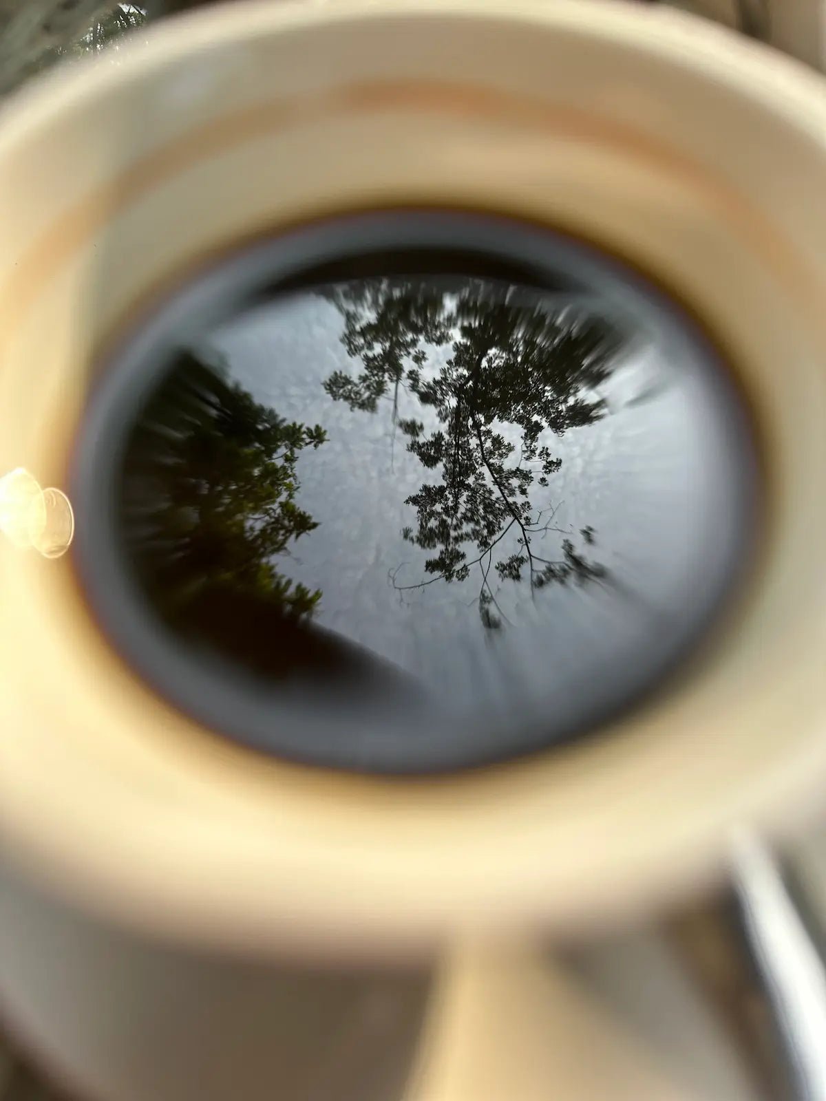 Le café est-il bon pour la santé ? La synthèse de L'Arbre à Café - L'Arbre à Café