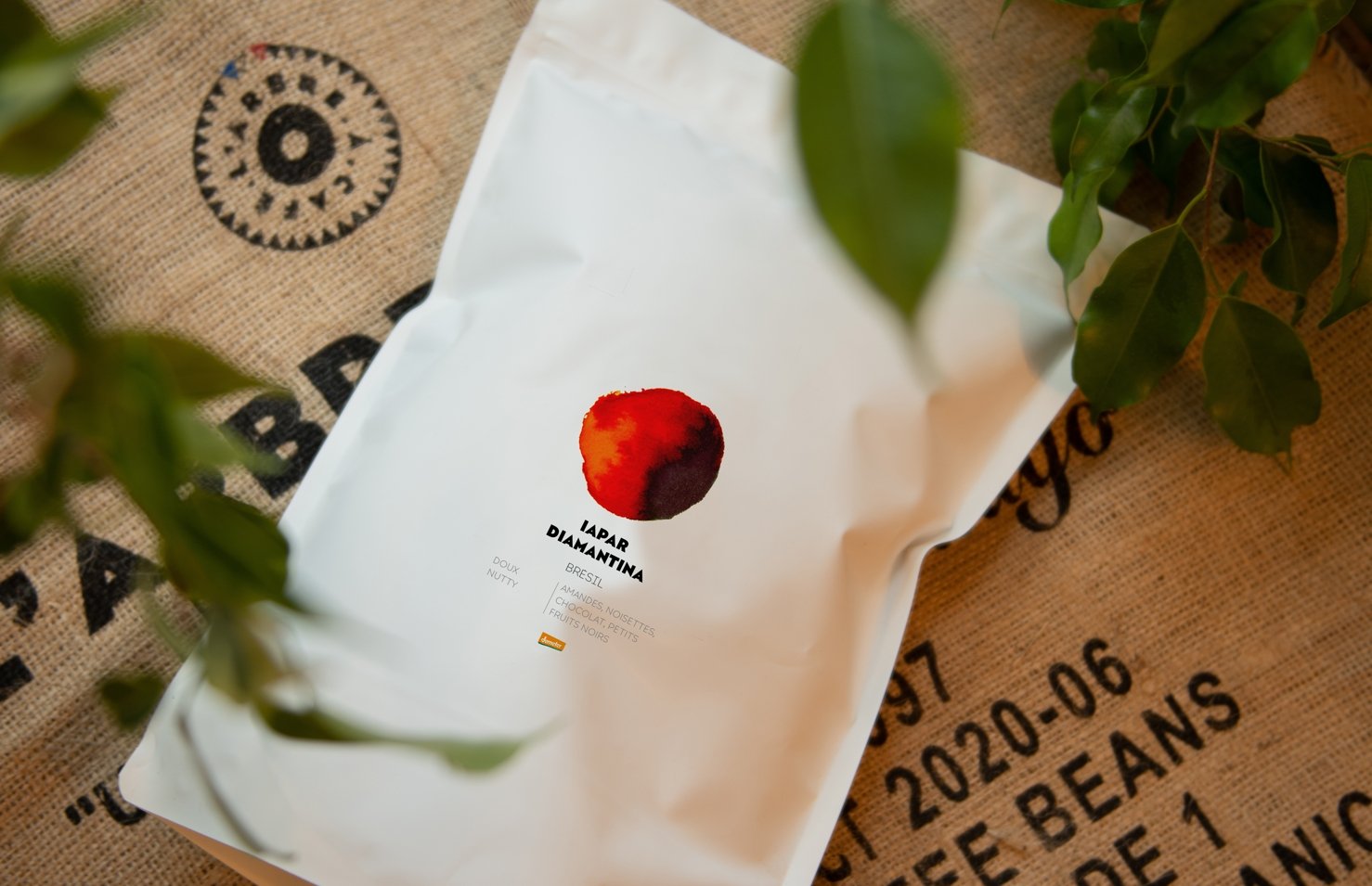 Le Chakra et le Iapar sont enfin de retour ! - L'Arbre à Café