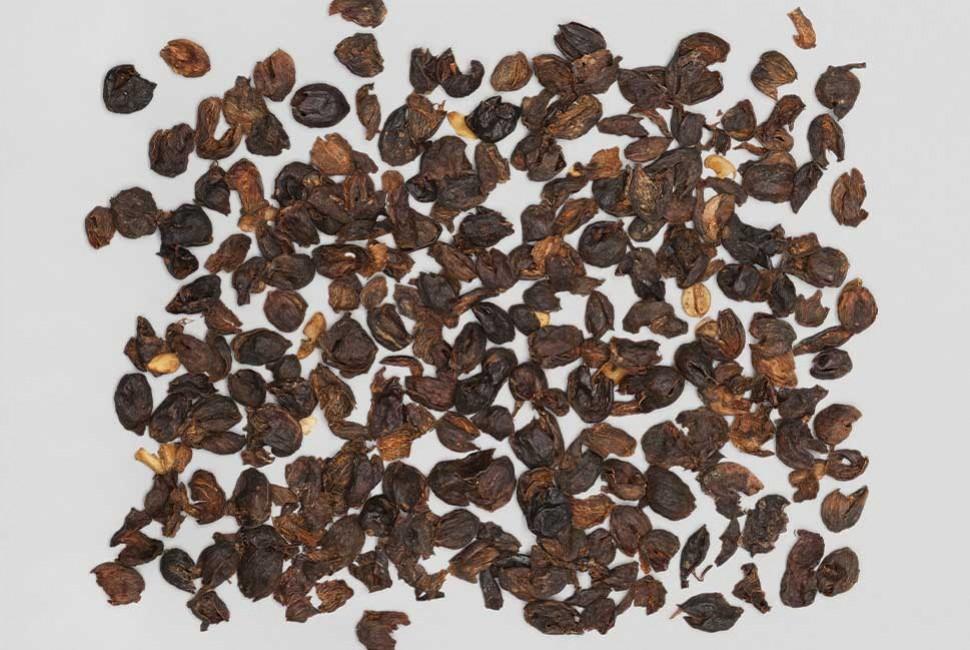 L'infusion de Cascara par L'Arbre à Café - L'Arbre à Café