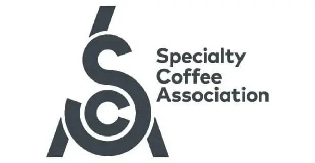 Pourquoi choisir un café de spécialité  ? - L'Arbre à Café