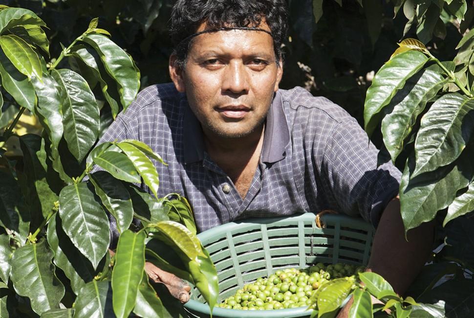 Produits bio et biodynamiques : plus qu'un engagement ! - L'Arbre à Café
