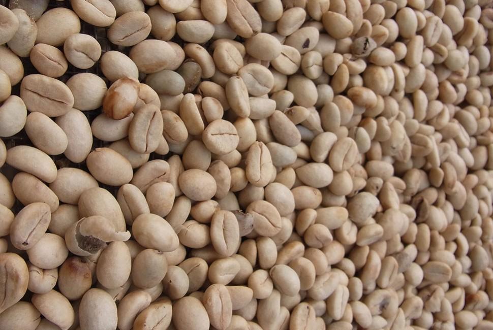 Une pause café dans l'assiette à l'envers - L'Arbre à Café