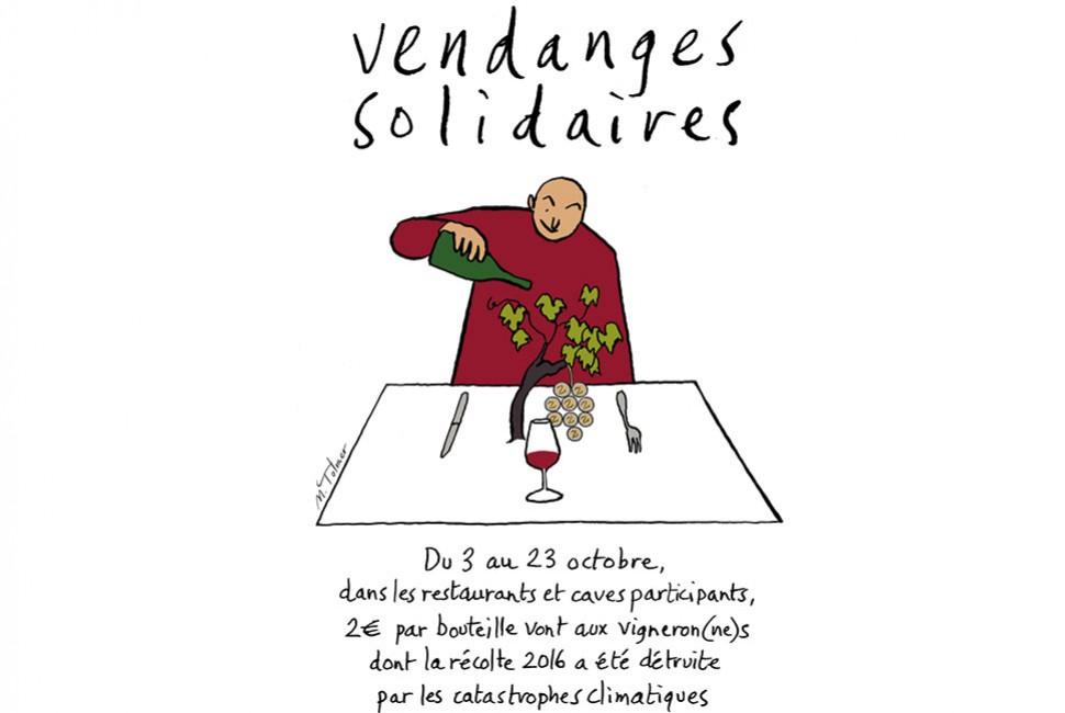 Vendanges et cafés solidaires - L'Arbre à Café