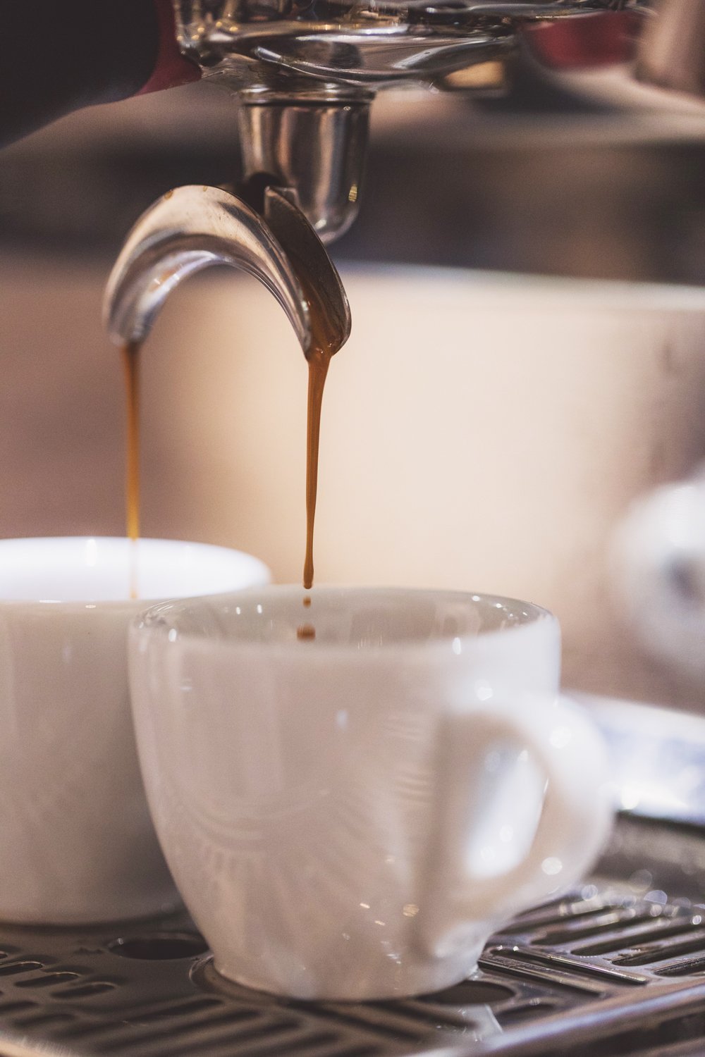 Renfort responsable boutique - Barista - L'Arbre à Café