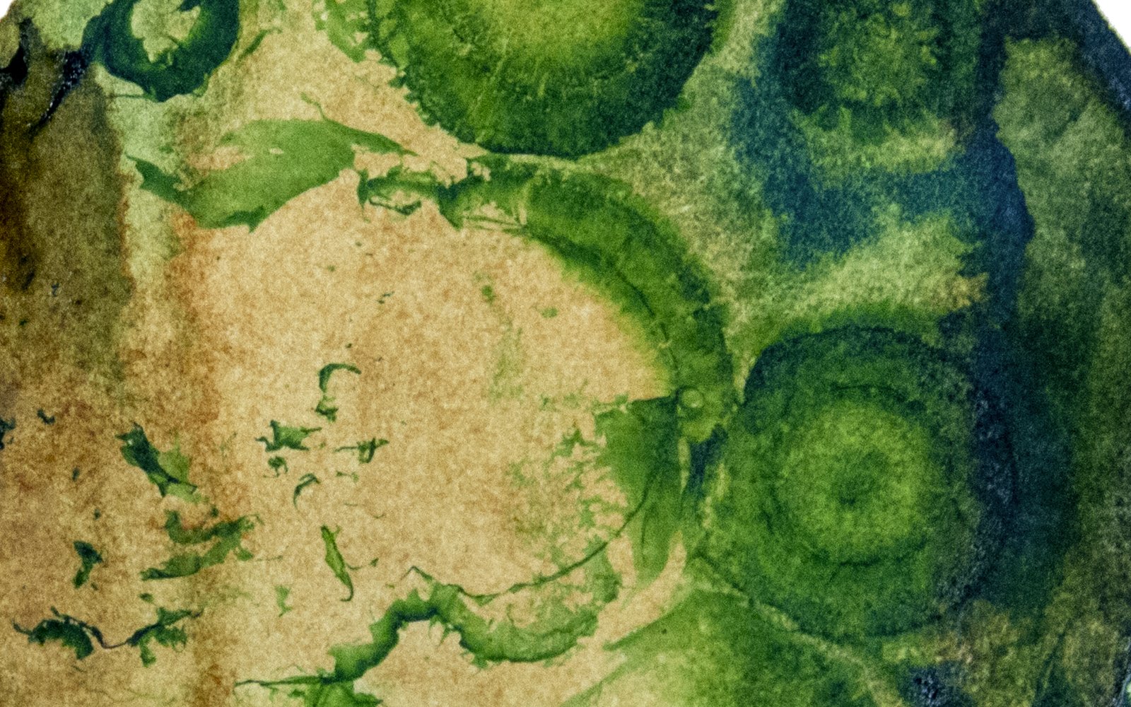 Assemblages - L'Arbre à Café