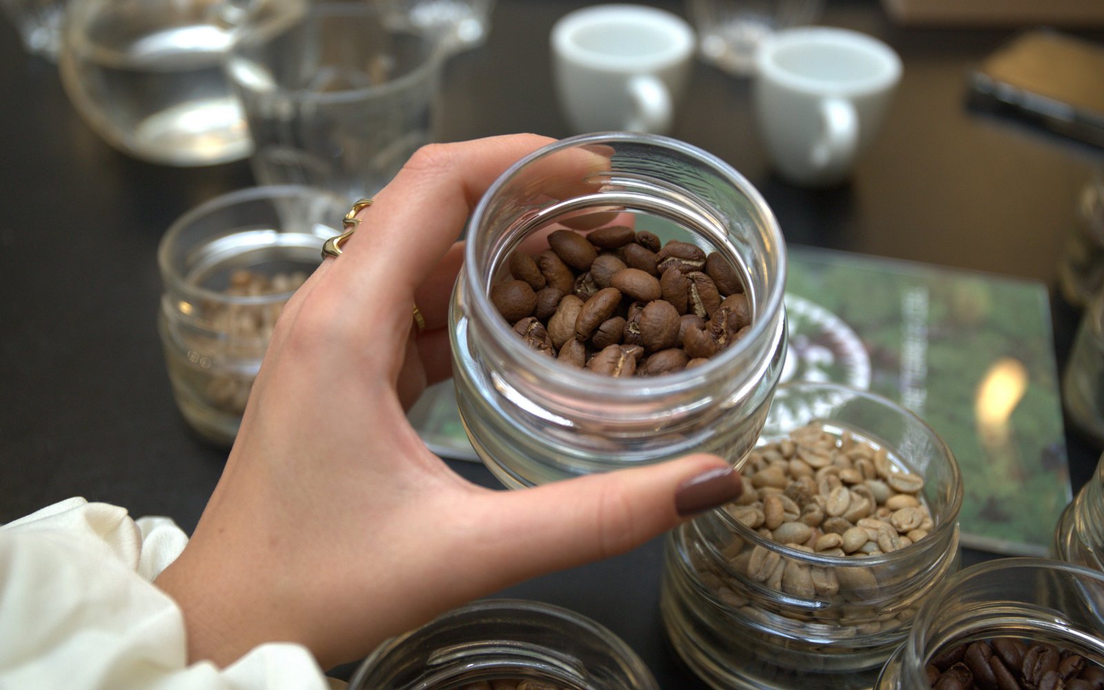 Ateliers & Formations | L'Arbre à Café