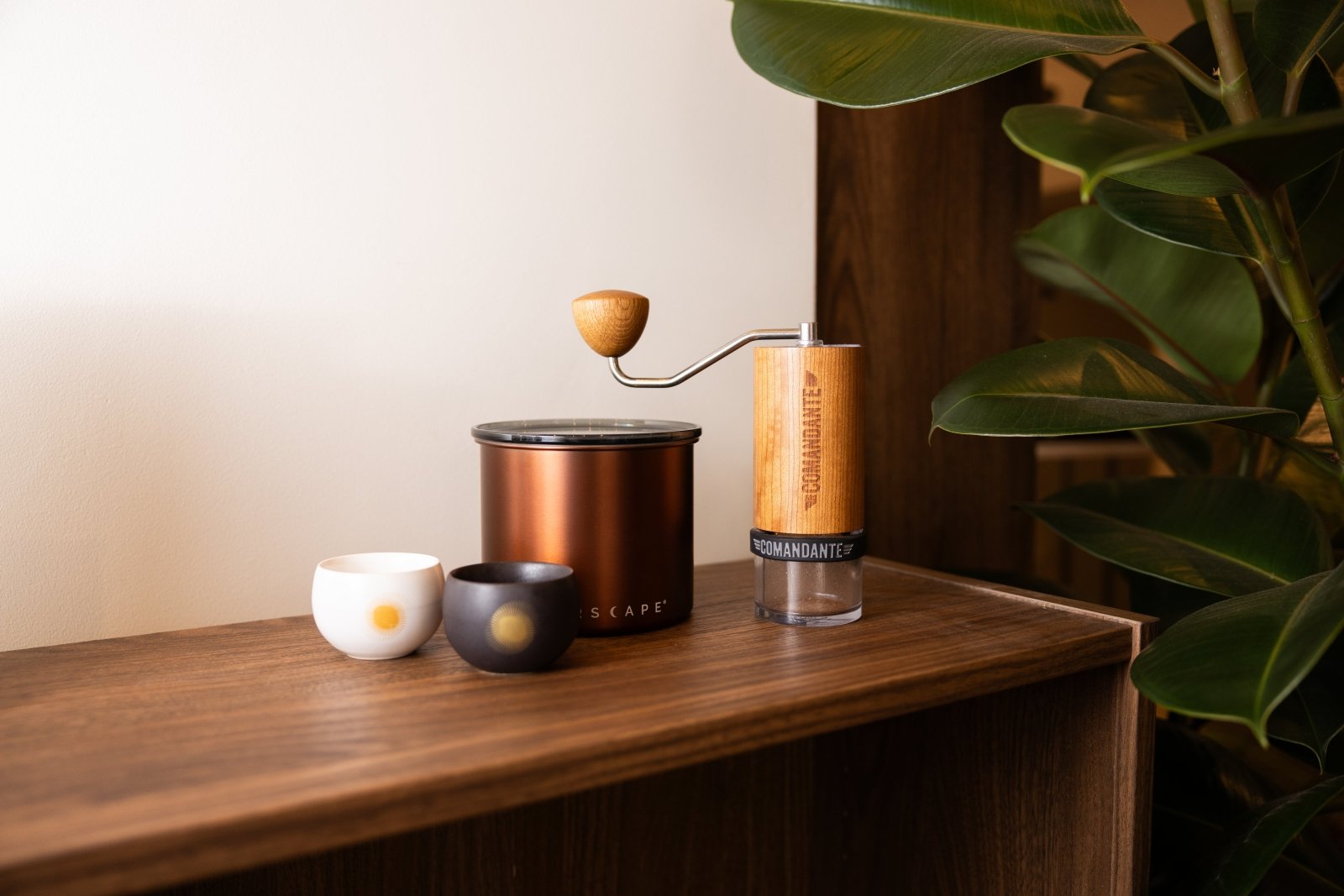 Boites de conservation - L'Arbre à Café