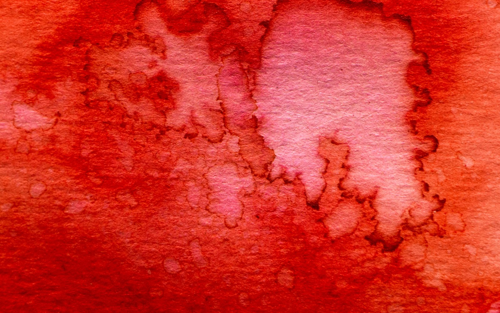 Cafés d'exception - L'Arbre à Café