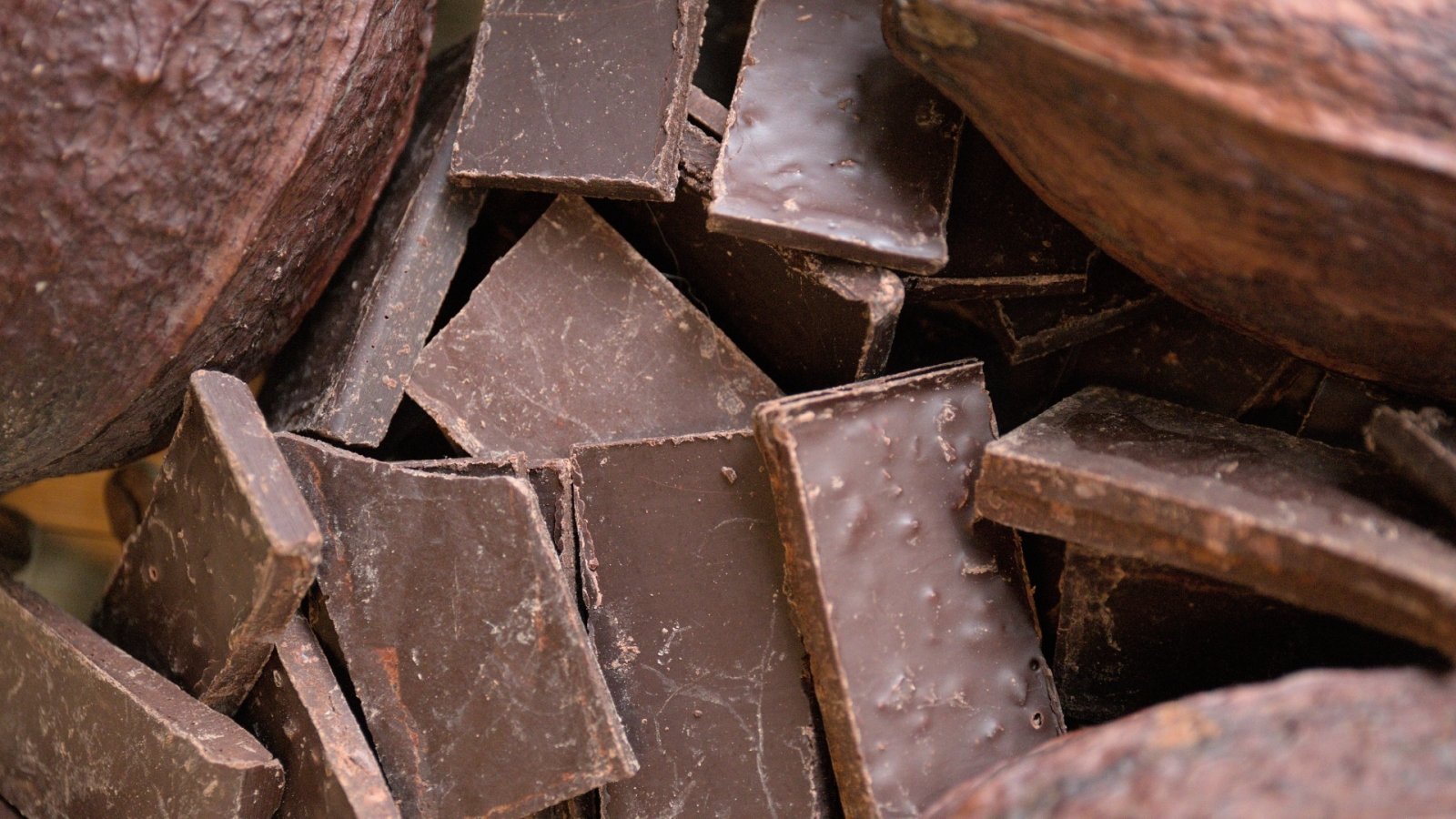 Chocolats - L'Arbre à Café