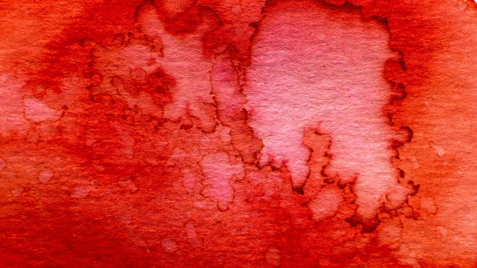 Moins de 25€ - L'Arbre à Café