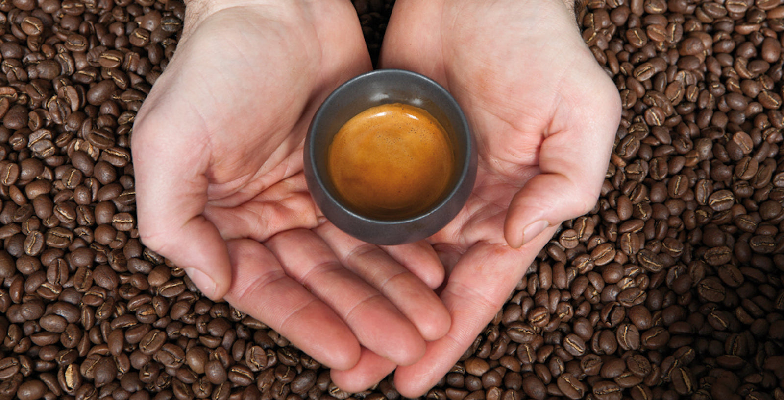 Tasses & service | L'Arbre à Café