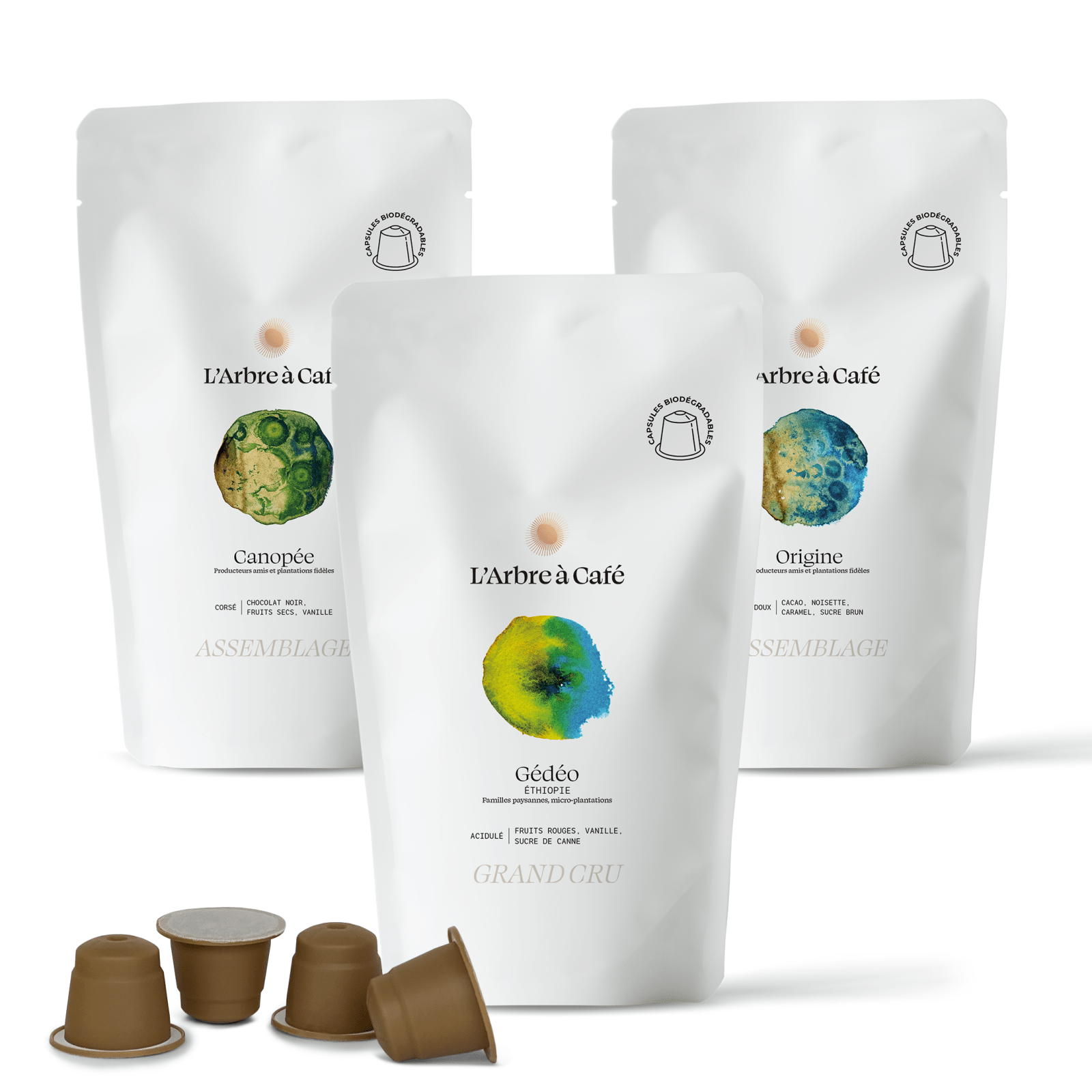 Assortiment Capsules - Café - L'Arbre à Café