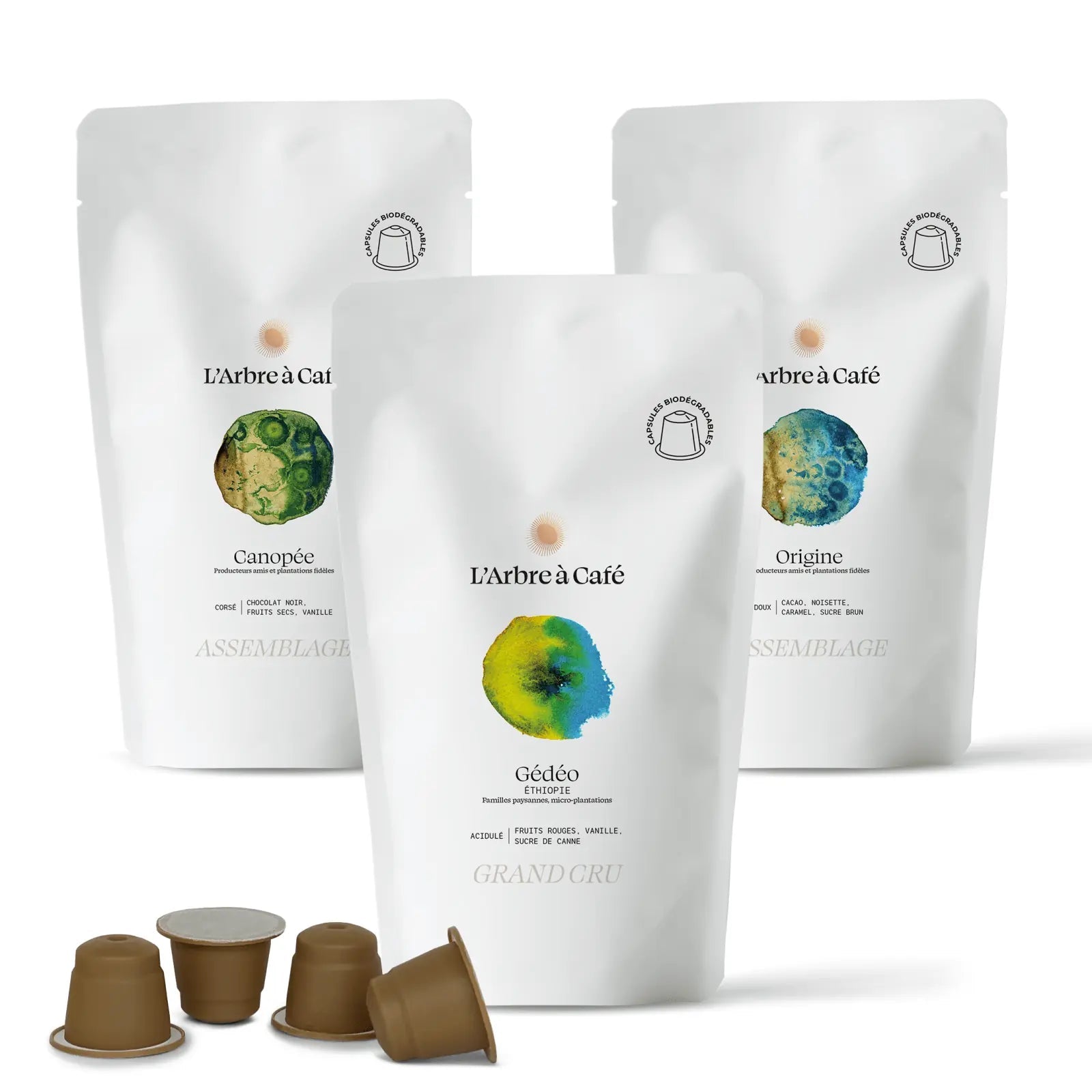 Assortiment Capsules - Café - L'Arbre à Café