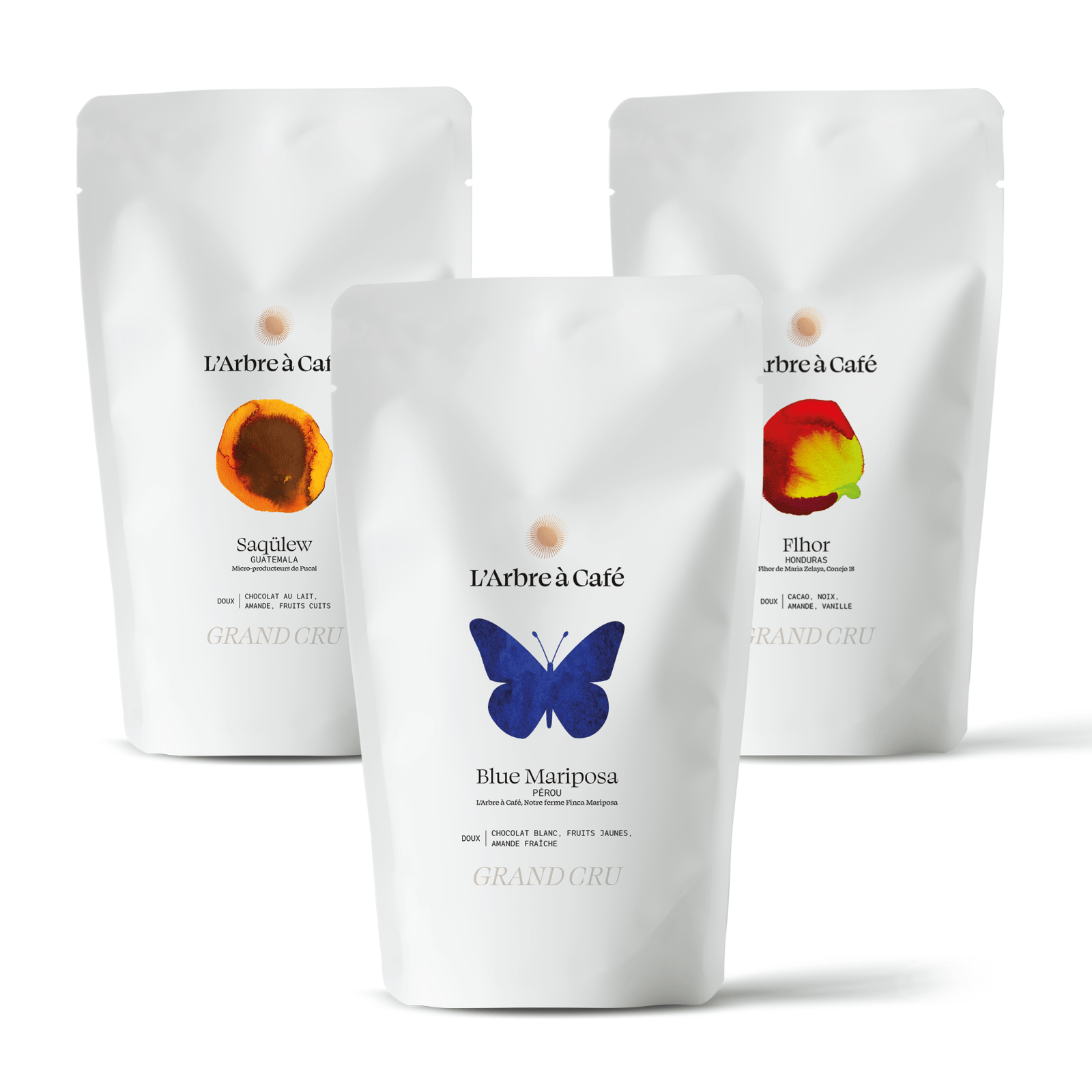 Assortiment Grands Crus Chocolatés - Café - L'Arbre à Café