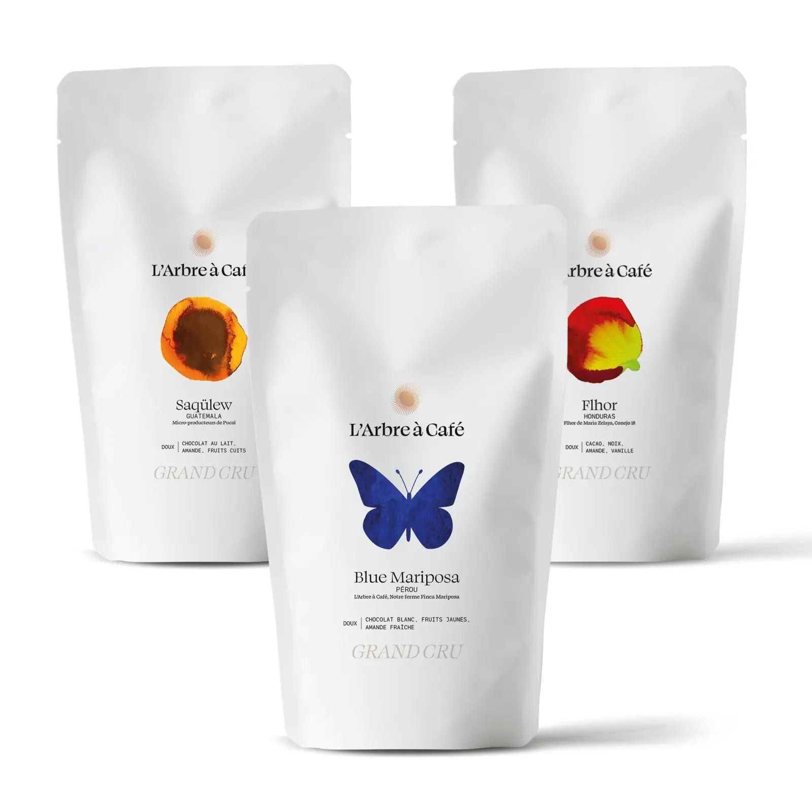 Assortiment Grands Crus Chocolatés - Café - L'Arbre à Café