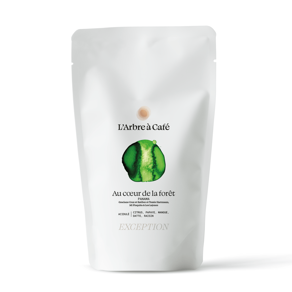 Au cœur de la forêt - Café - L'Arbre à Café