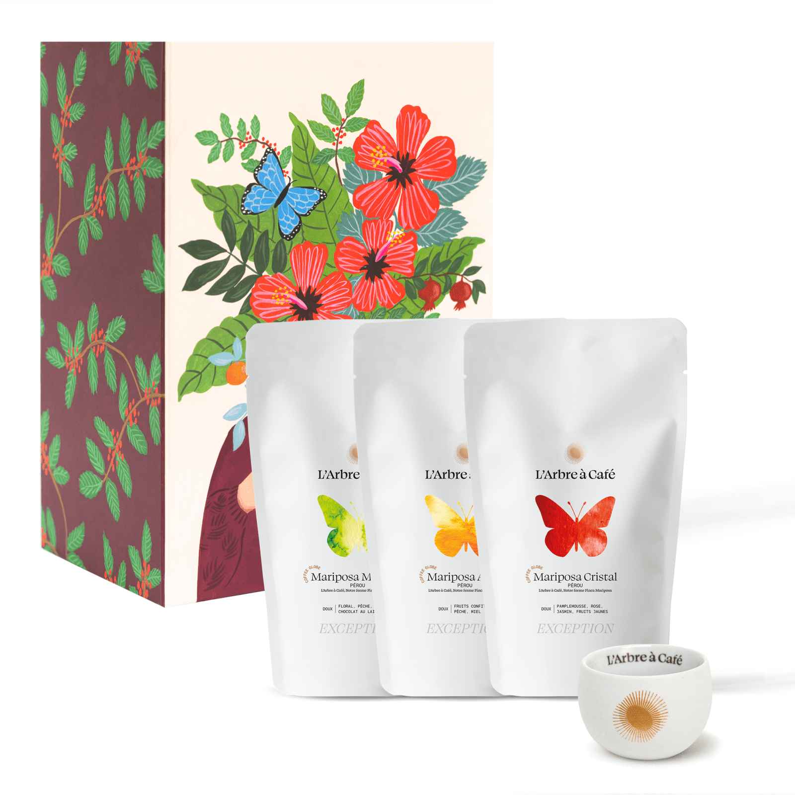 Coffret Métamorphose - Café - L'Arbre à Café