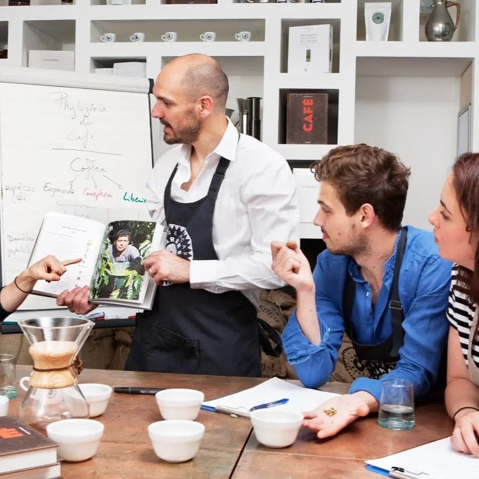 Combo : Tout L'univers du café & Maîtriser les extractions douces - Formation - L'Arbre à Café