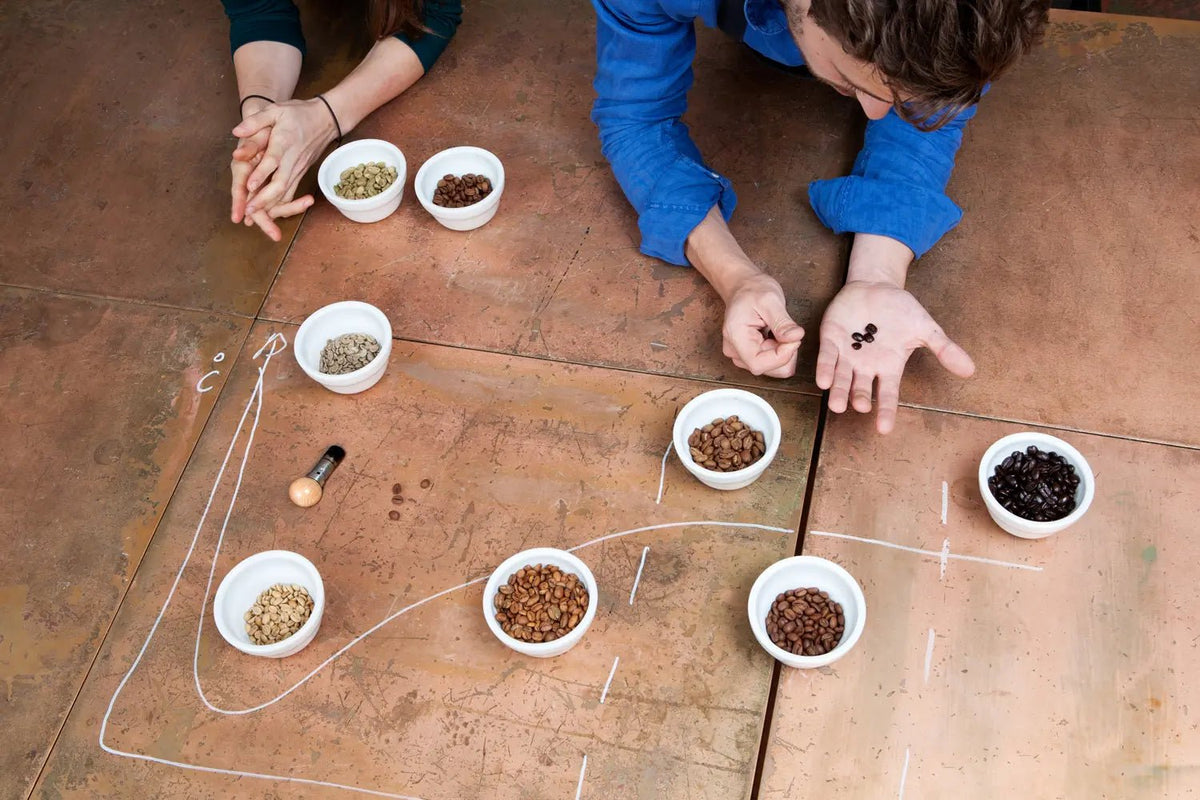 La Totale : tous les ateliers café en une seule formule ! - Formation - L'Arbre à Café