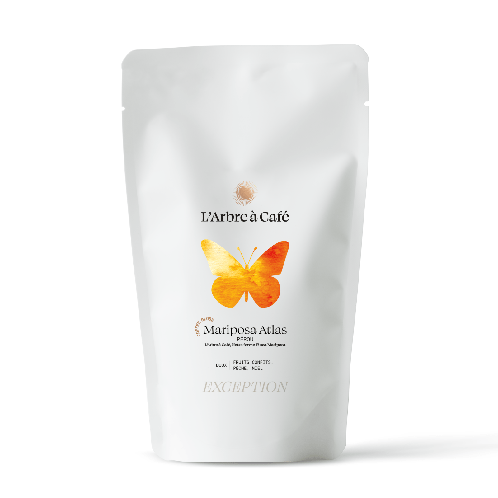 Mariposa Atlas Coffee Globe - Café - L'Arbre à Café