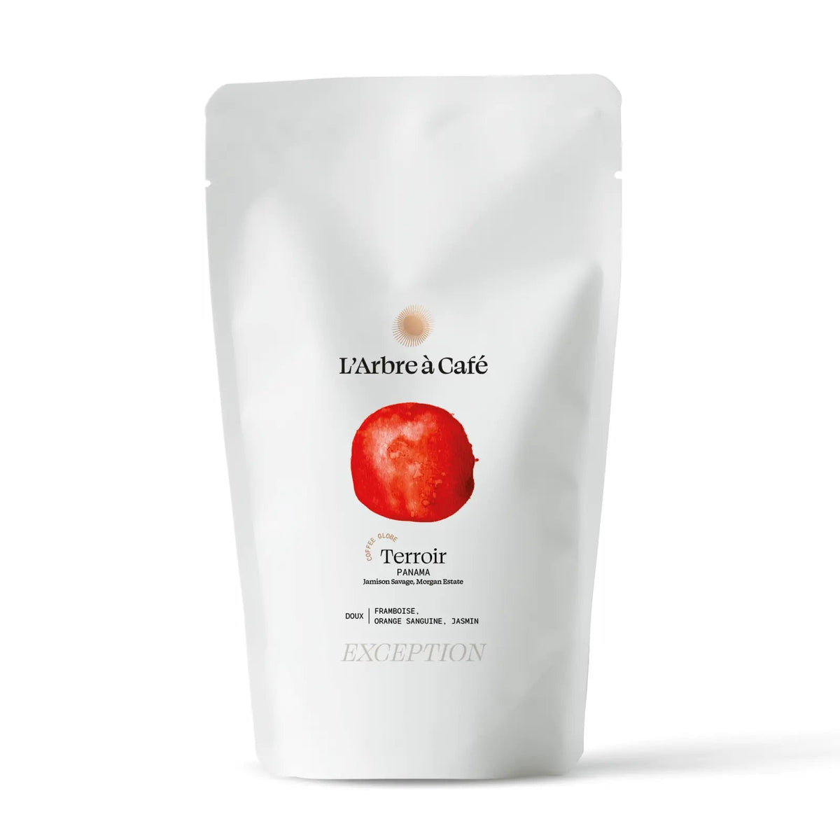 Terroir Coffee Globe - Café - L'Arbre à Café