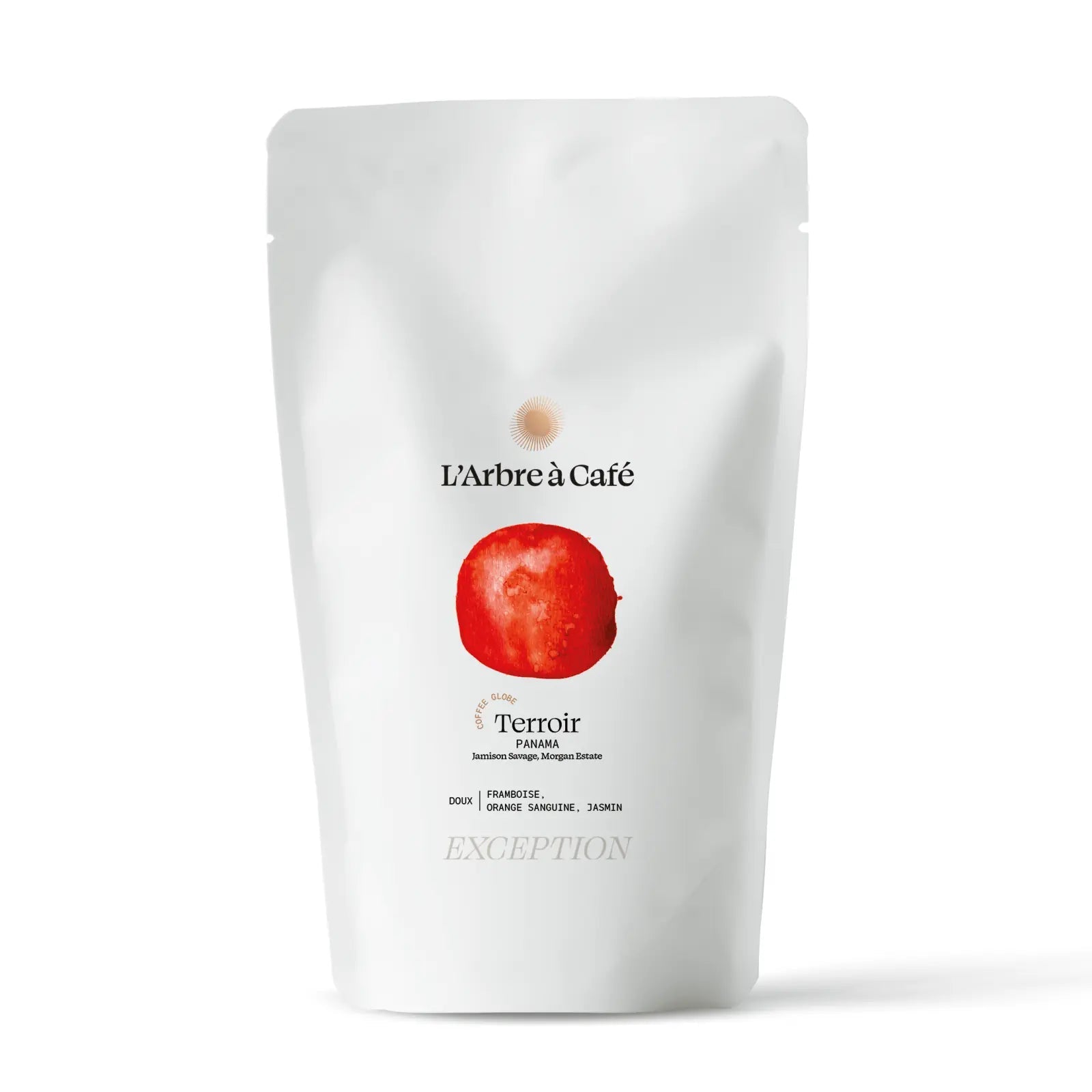 Terroir Coffee Globe - Café - L'Arbre à Café